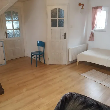 別荘 Dom Na Labedziej ハジコビ