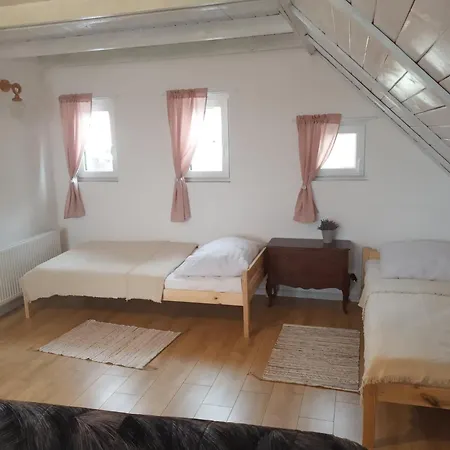 Dom Na Labedziej Tatil Evi Charzykowy